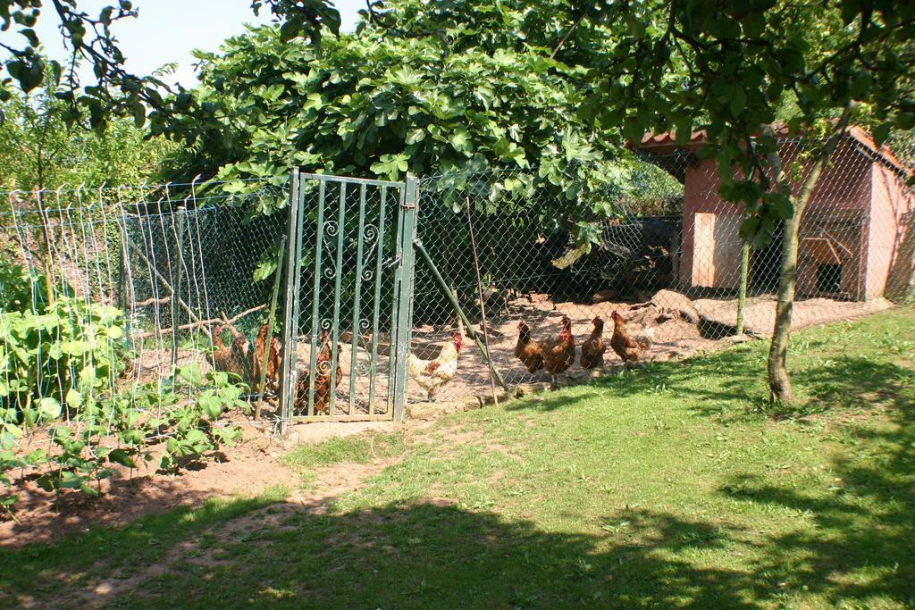 Fonte San Pedrin Guest House Cajide Bagian luar foto